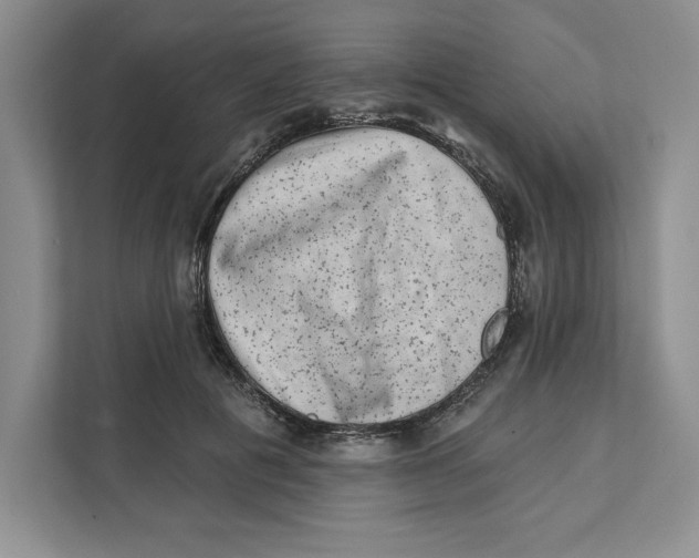 X0000111620601200908071352