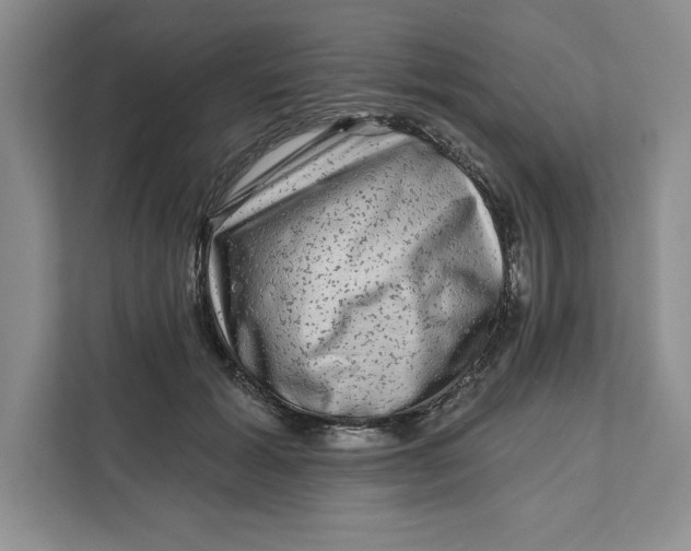 X0000111620605200908071352