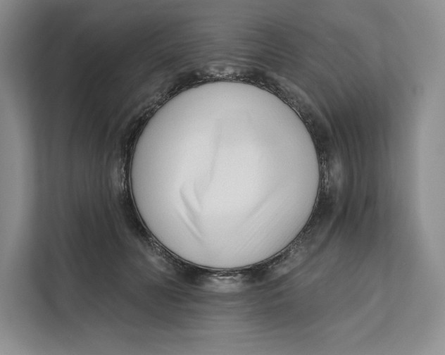 X0000111620606200908071352