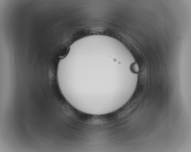 X0000111620608200908071352