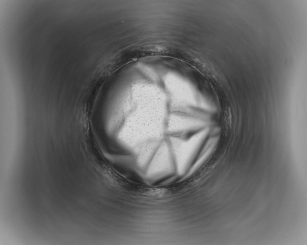 X0000111620609200908071352