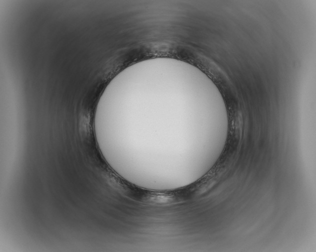 X0000111620610200908071352