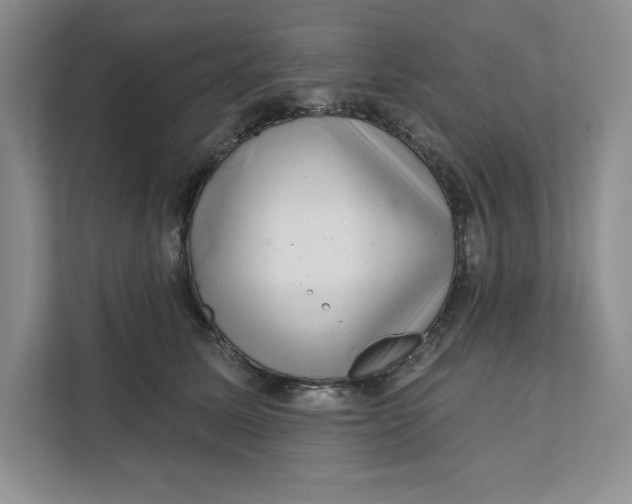 X0000111620611200908071352