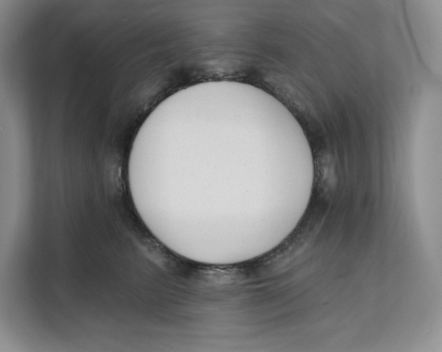 X0000111620615200908071352