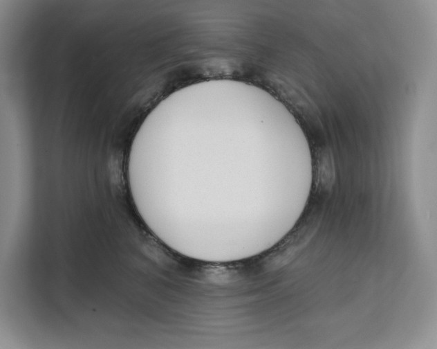 X0000111620616200908071352