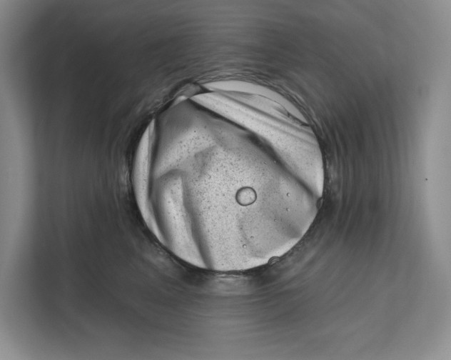 X0000111620617200908071352