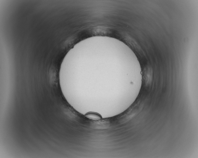 X0000111620619200908071352