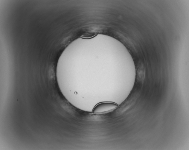 X0000111620620200908071352