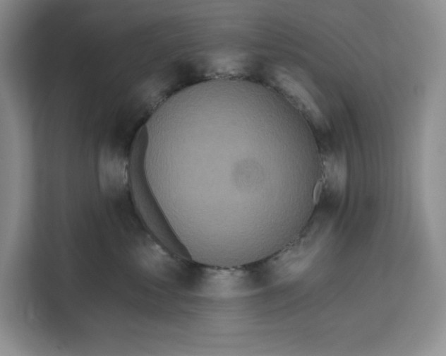 X0000111620621200908071352