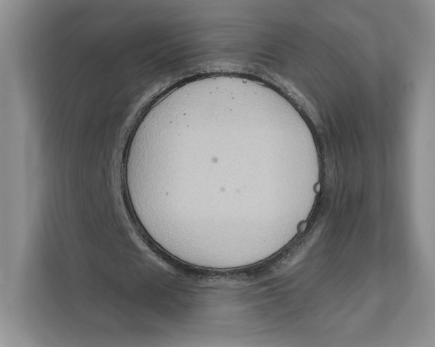 X0000111620625200908071351