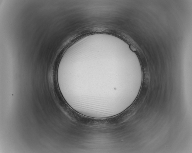 X0000111620626200908071351