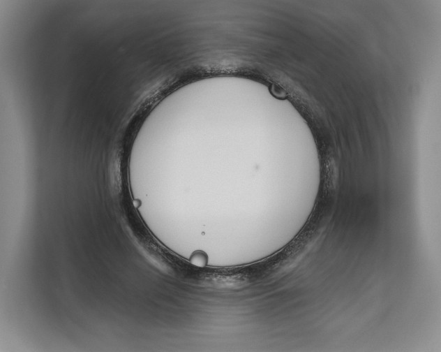 X0000111620638200908071351