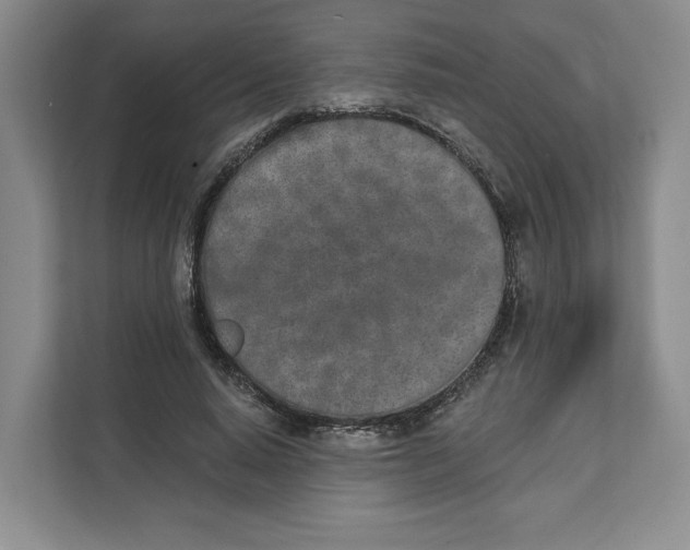 X0000111620640200908071351