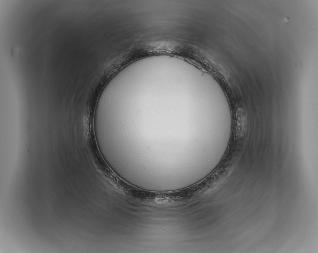 X0000111620641200908071351