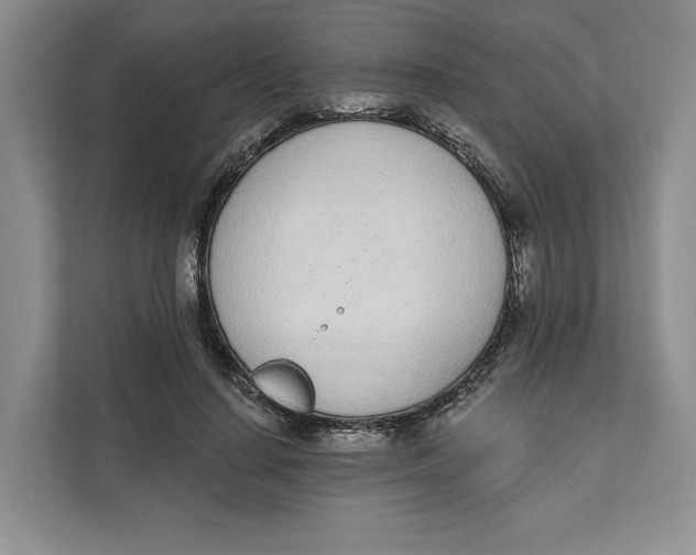 X0000111620644200908071351