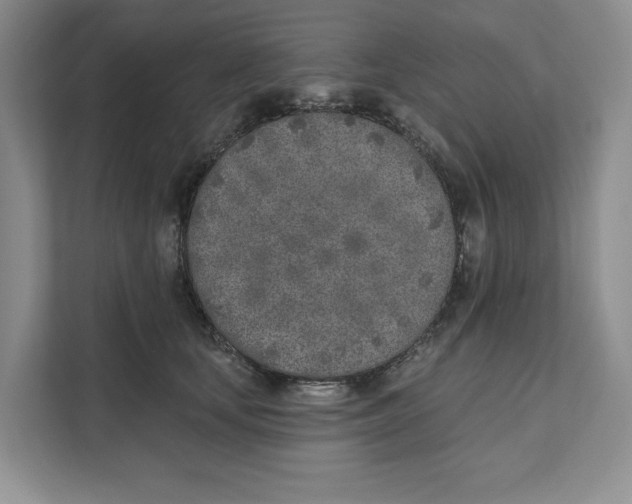 X0000111620659200908071352