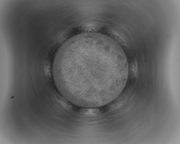 X0000111620663200908071352