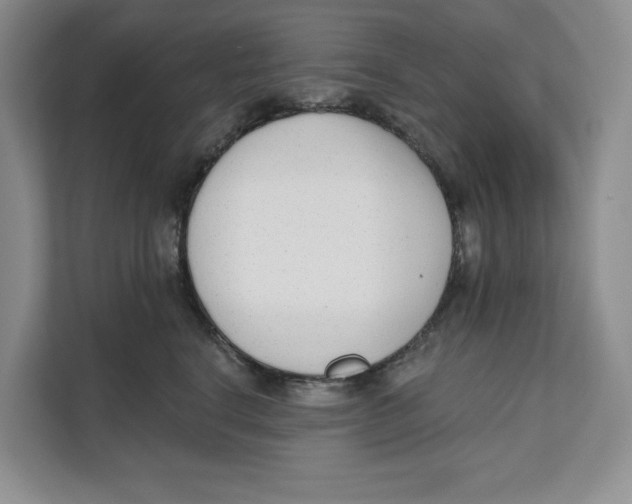 X0000111620664200908071352