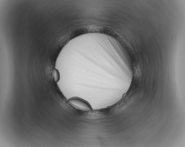 X0000111620666200908071352