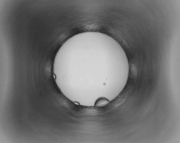 X0000111620668200908071352