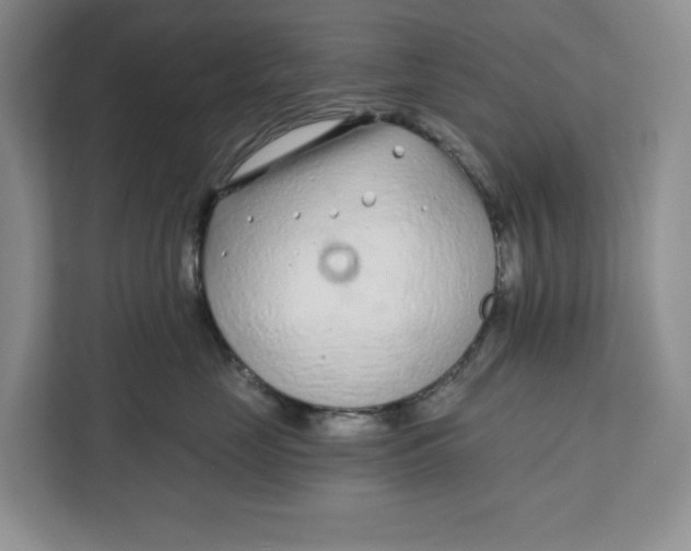 X0000111620669200908071352