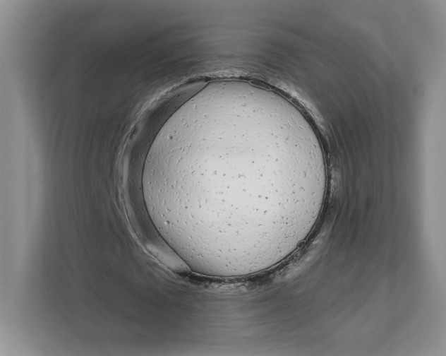 X0000111620673200908071351