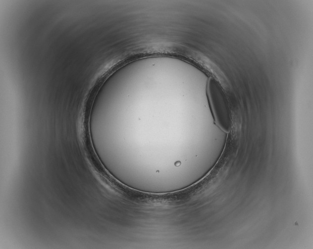 X0000111620677200908071351