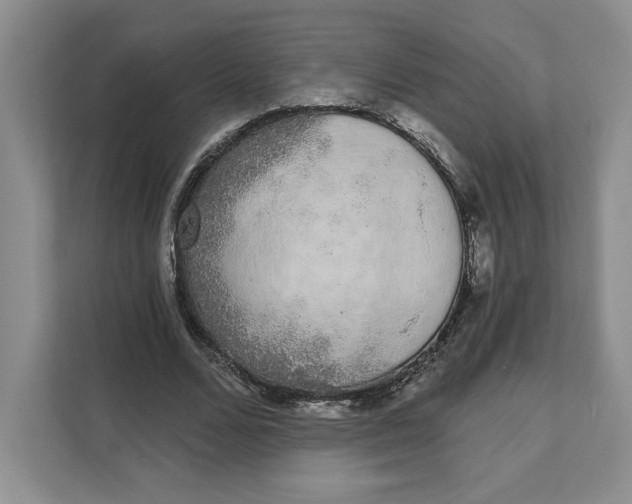 X0000111620680200908071351