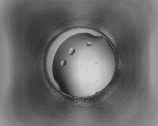 X0000111620681200908071351