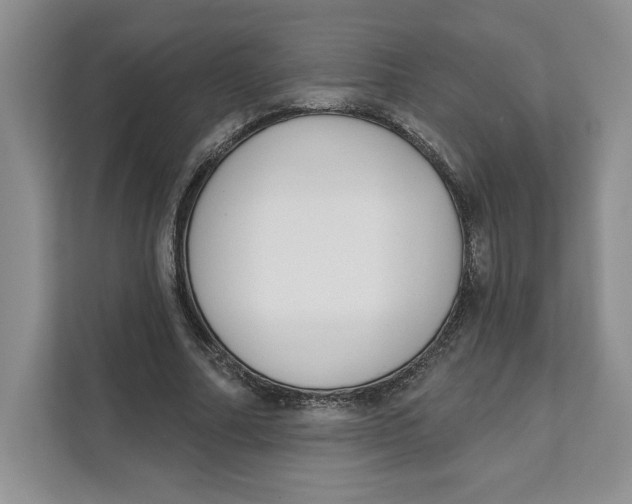 X0000111620682200908071351