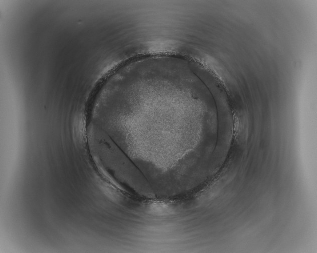 X0000111620684200908071351