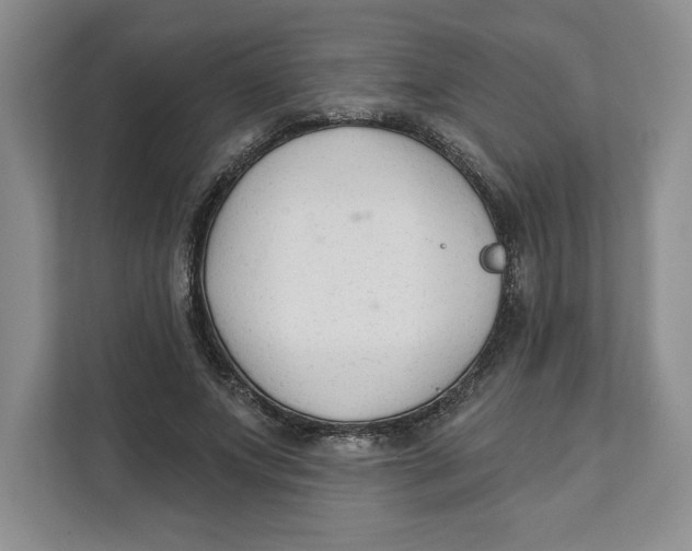 X0000111620687200908071351