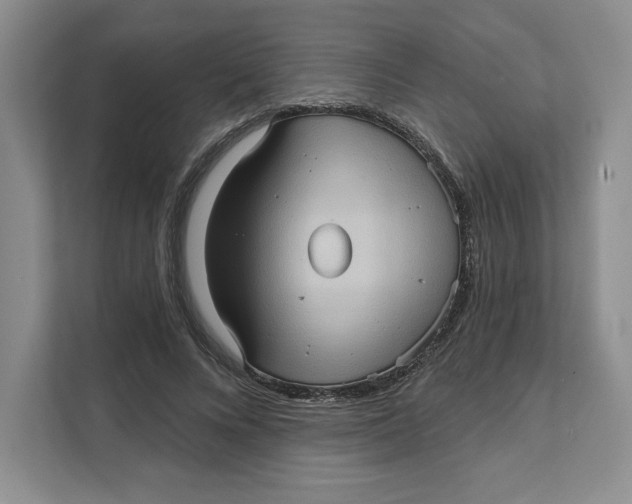 X0000111620688200908071351