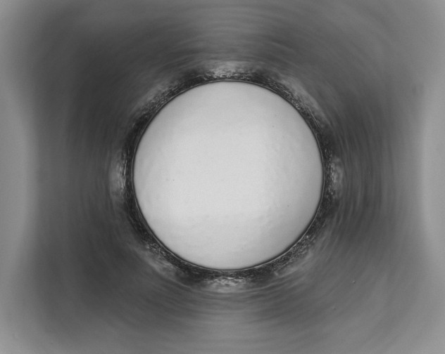 X0000111620691200908071351