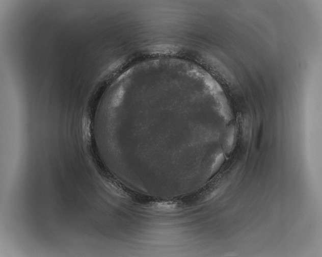 X0000111620692200908071351