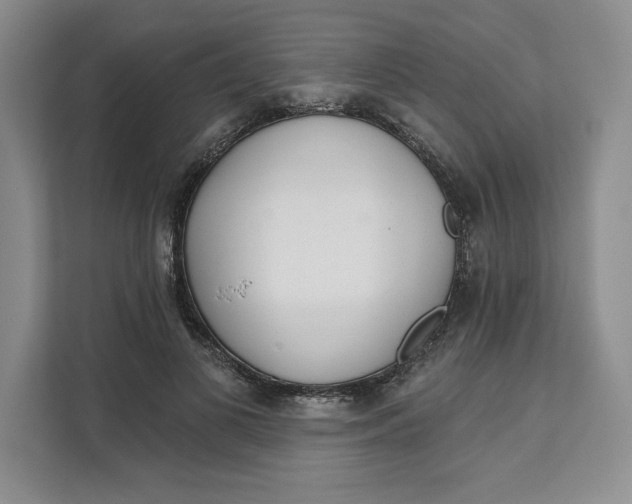 X0000111620693200908071351