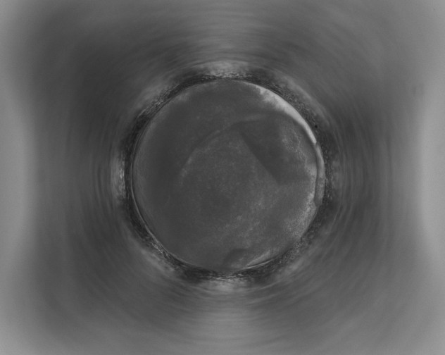 X0000111620696200908071351