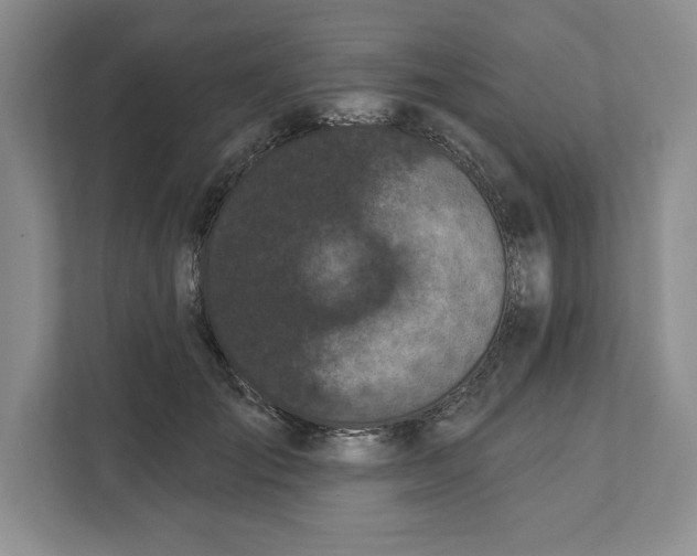 X0000111620701200908071351