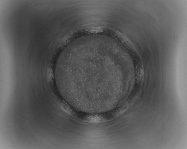 X0000111620704200908071351