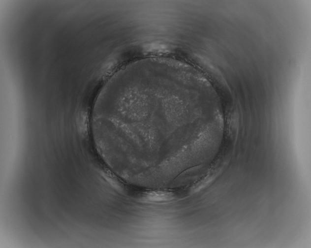 X0000111620708200908071351