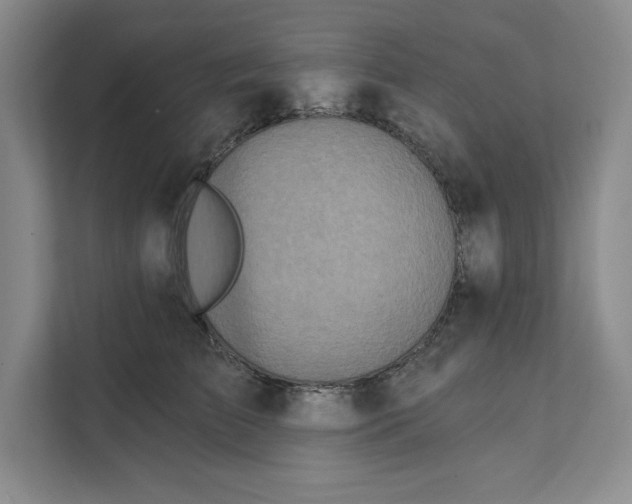 X0000111620709200908071351