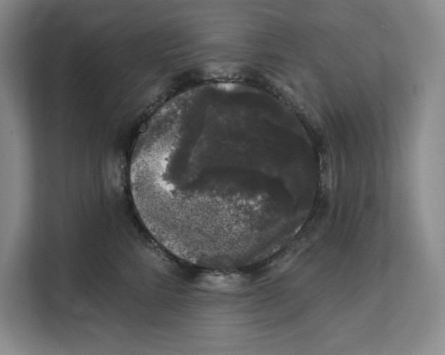 X0000111620712200908071351