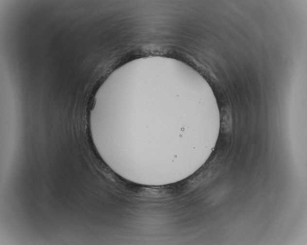 X0000111620713200908071351