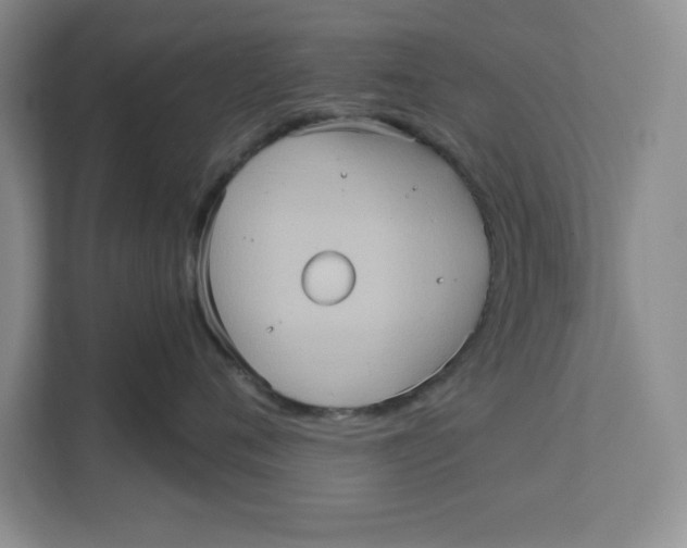 X0000111620720200908071351