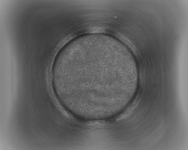 X0000111620721200908071350