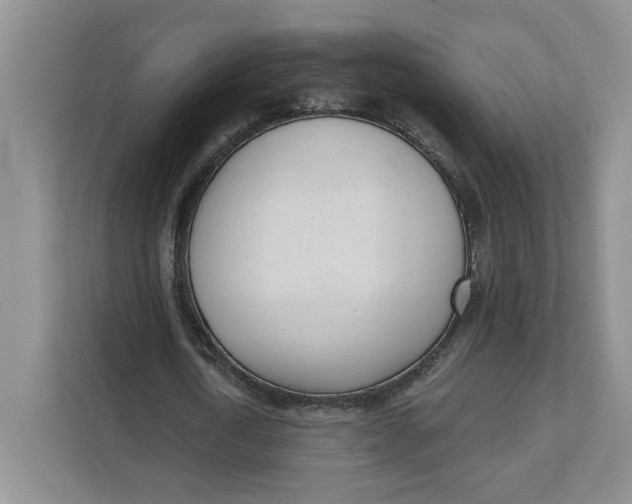 X0000111620722200908071350