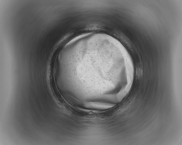 X0000111620724200908071350