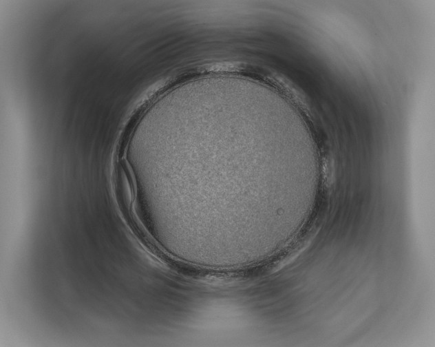 X0000111620725200908071350