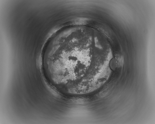 X0000111620726200908071350