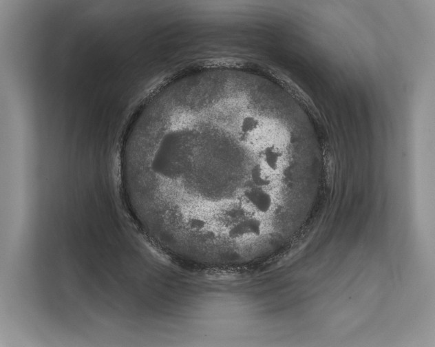 X0000111620729200908071350